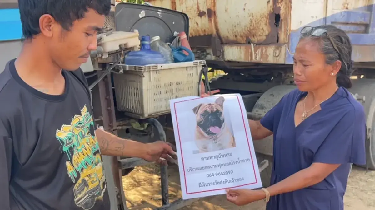 เจอตัว น้องกุนเชียง ที่เจ้าของตามหา เห็นภาพน้องล่าสุดยิ่งใจสลาย