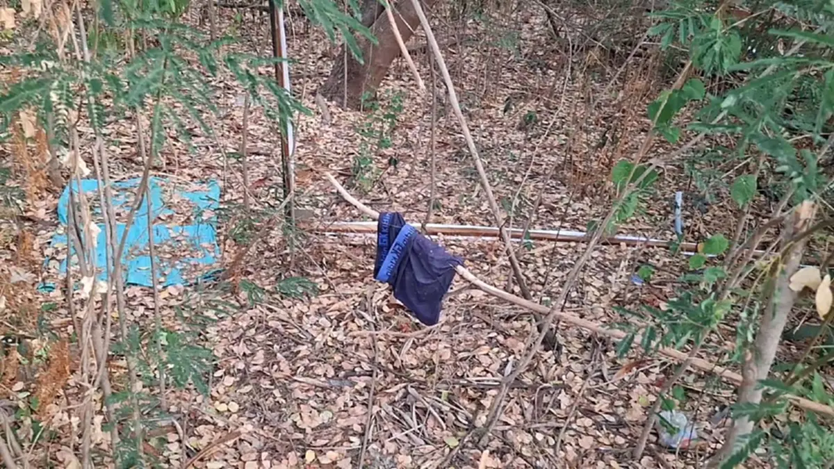 สลดกลางพงหญ้า! พบชายเก็บของเก่าเสียชีวิตเปลือยกายนานนับเดือน