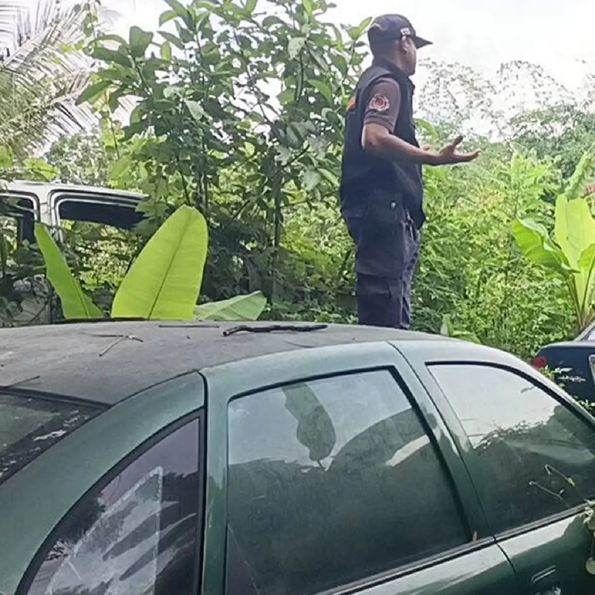 สลดหนัก เจอแล้วร่าง น้องเบส หายตัว 4 วัน ดับปริศนาในรถกลางป่า