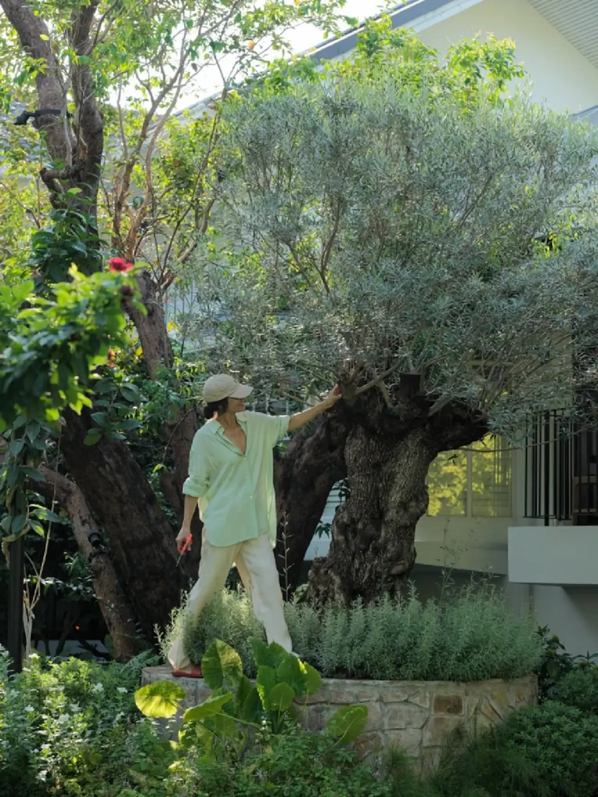 แอน ทองประสม เปิดมุมบ้านสุดร่มรื่น สวยเหมือนอยู่รีสอร์ต 