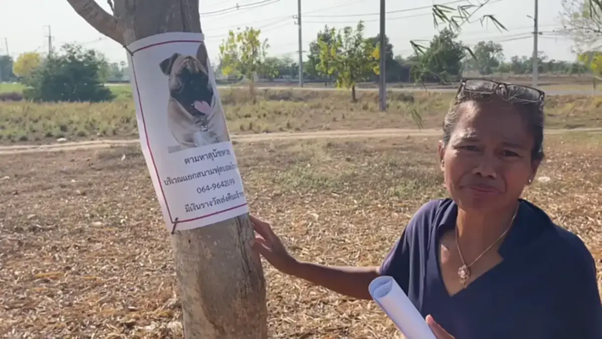 เจอตัว น้องกุนเชียง ที่เจ้าของตามหา เห็นภาพน้องล่าสุดยิ่งใจสลาย