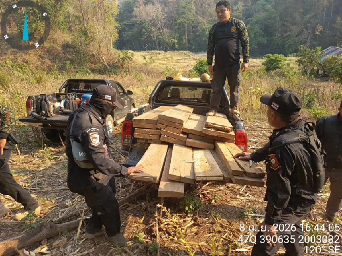 ดับไฟป่าเจอไม้สัก! แม่สะเรียงยึด 28 แผ่นเหลี่ยมซุกกอไผ่