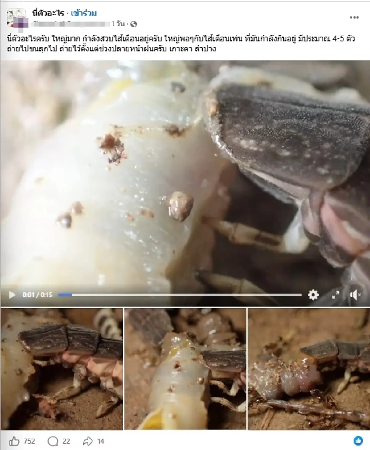 ขนลุก หนุ่มเจอสัตว์ปริศนารุมสวบไส้เดือน ชาวเน็ตเฉลยยิ่งพีค