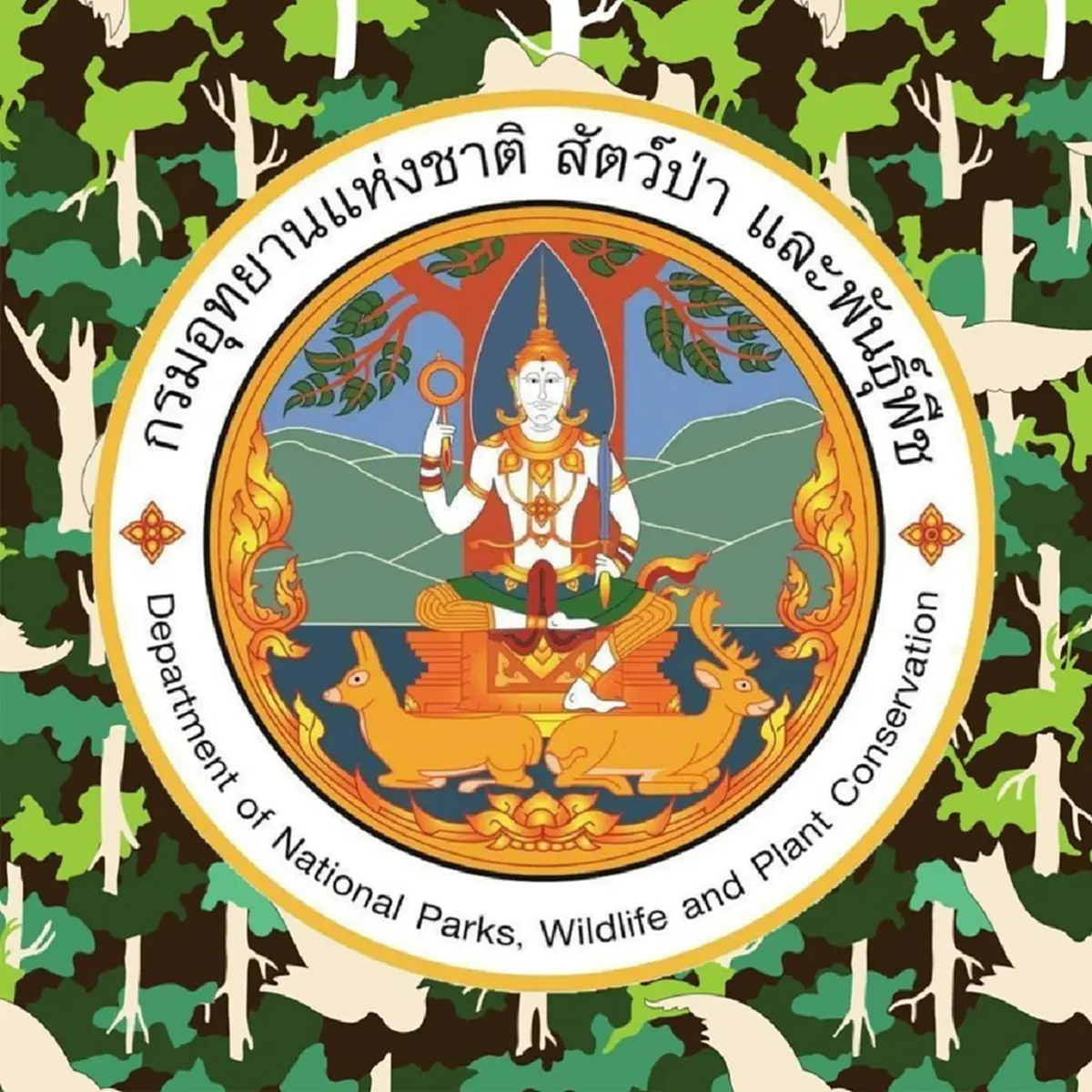 กรมอุทยานฯ แจงจับคนหาไข่มดแดง ย้ำ! "ช่วงปิดป่า" เหตุวิกฤตไฟป่า