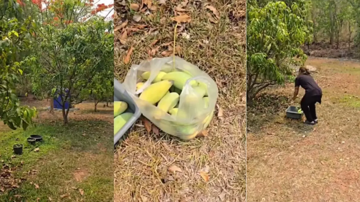 ชีวิตเรียบง่ายแต่ปัง! ไก่ มีสุข เปิดอาณาจักร “มีสุขแลนด์” 