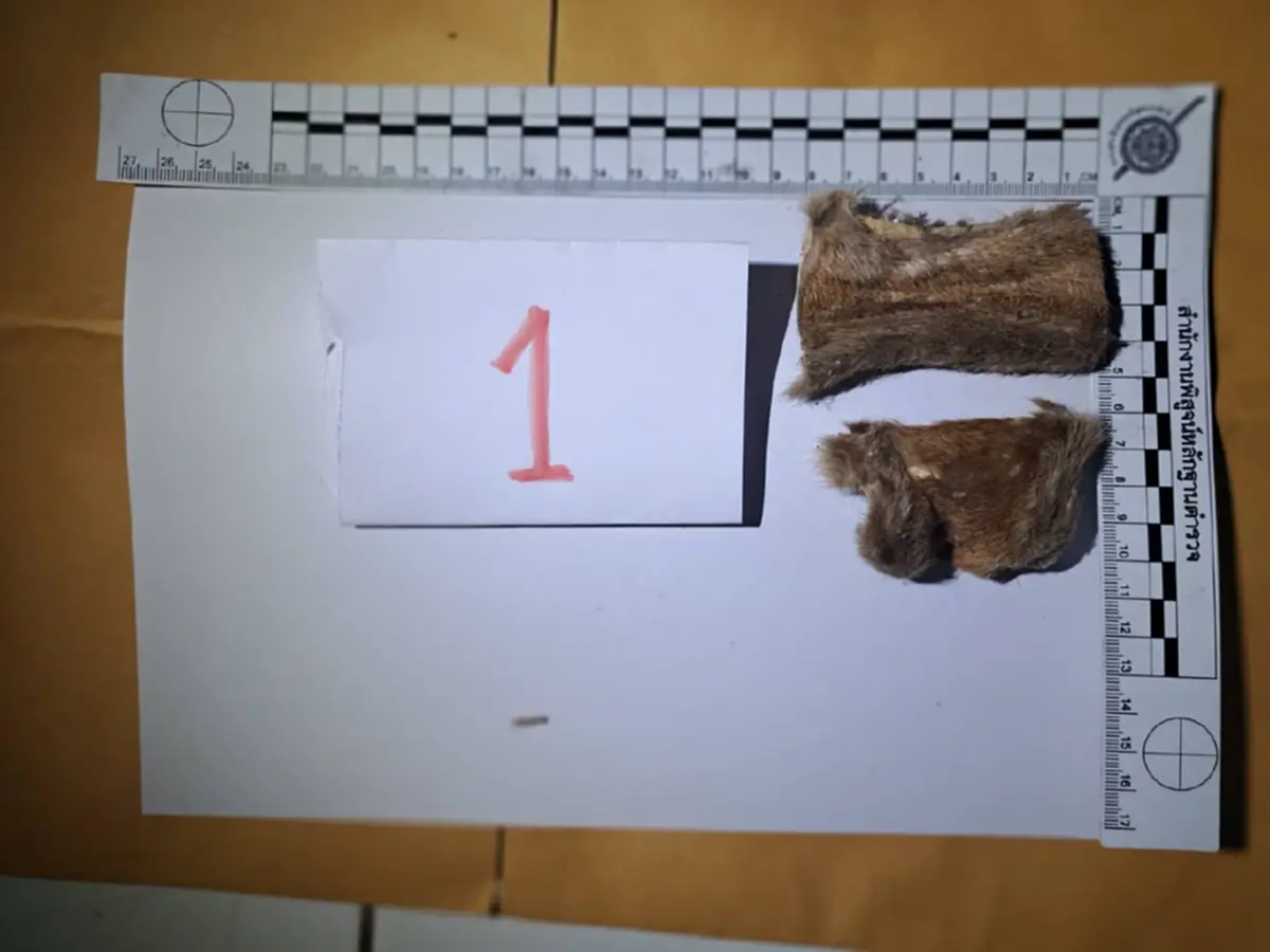 รวบพระธุดงค์กลางป่าทุ่งใหญ่ฯ ซุกซากหนังเสือโคร่งในย่าม