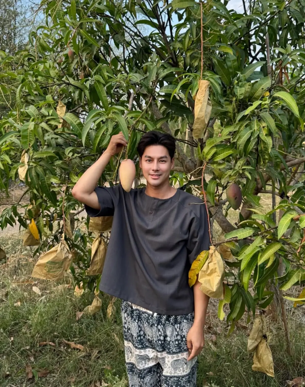  เพ็ชร ฐกฤต ตวันพงค์ พาเปิดสวนมะม่วง สอนเก็บผลแก่แบบมือโปร