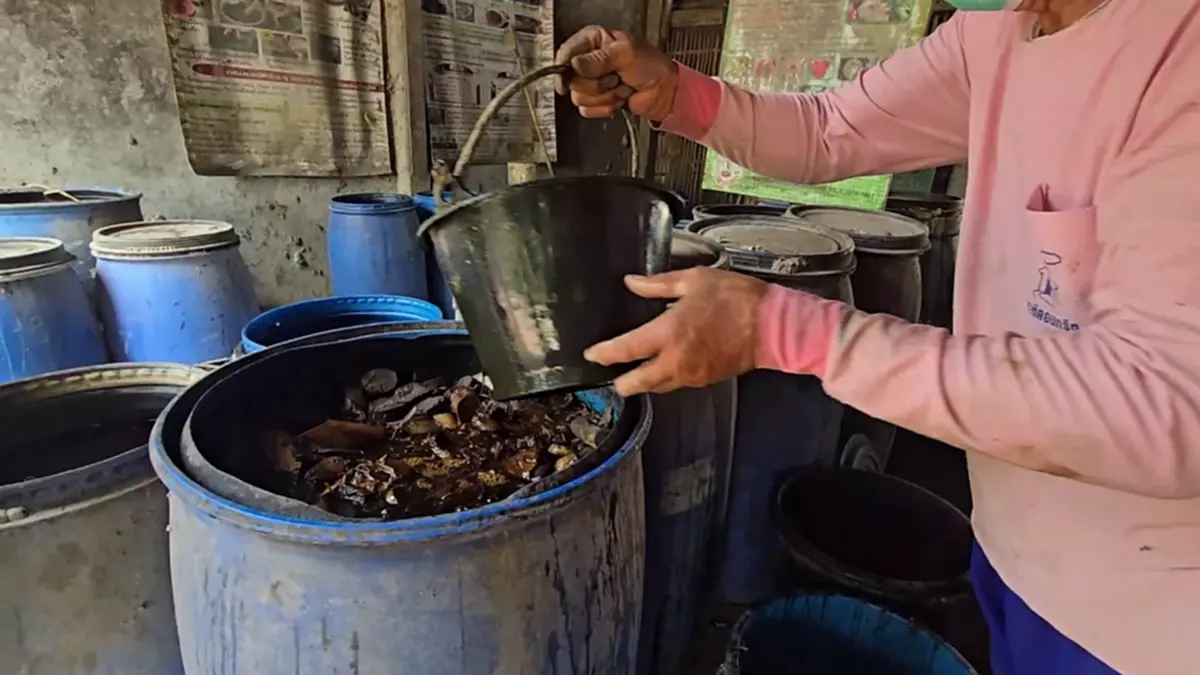 ปราชญ์อุทัยฯ วัย 78 ผุดปุ๋ยชีวภาพอัดเม็ดสู้ยุคของแพงลดต้นทุน