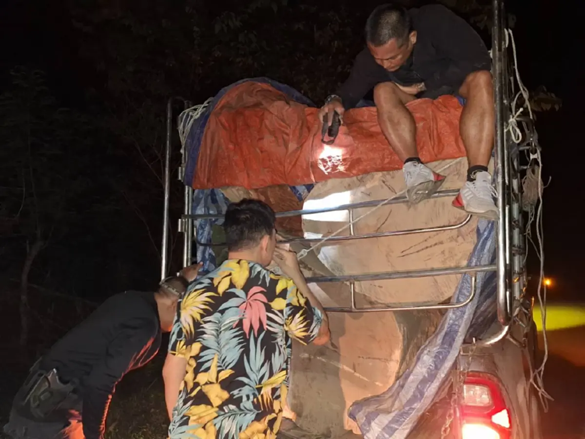 พยายามยัดเงินหวังรอด! รวบหนุ่มรับจ้างขนไม้ประดู่เถื่อนกลางดึก