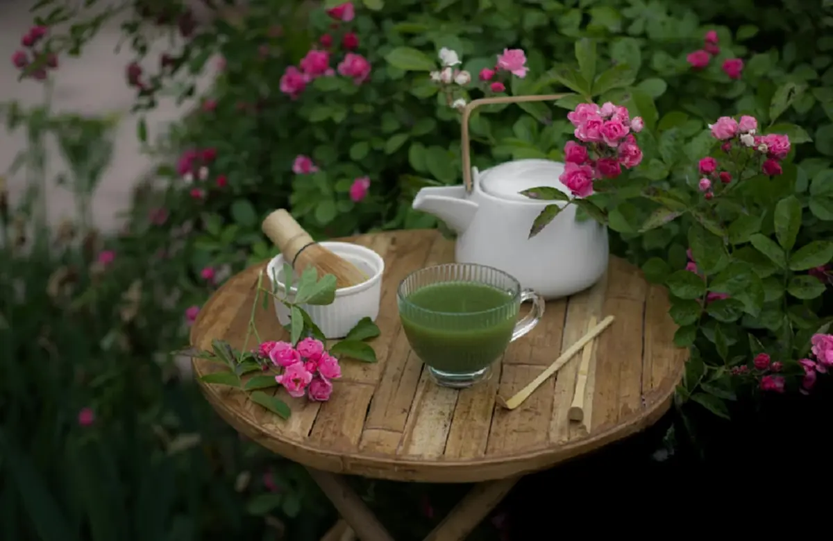 สวนหินสไตล์ญี่ปุ่น