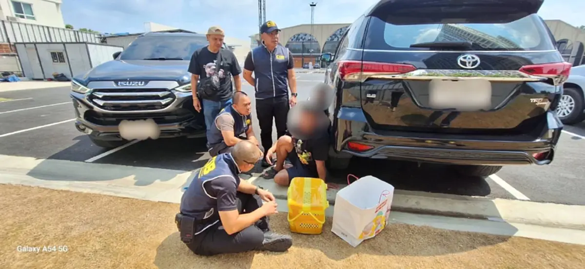 รวบ 2 ผู้ต้องหา ลอบค้าค่างแว่นสัตว์ป่าคุ้มครอง ส่งของย่านบางแค