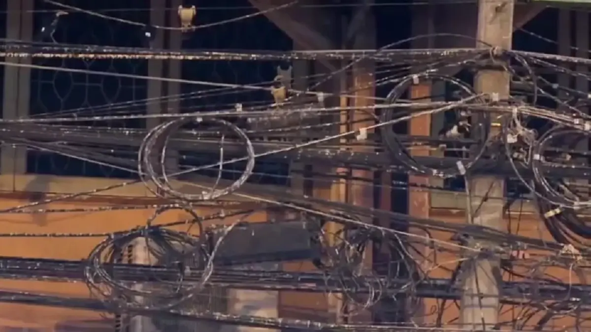 ชาวอ่างทองสุดทน นกนับแสนยึดใจกลางเมือง วอนเร่งแก้ปัญหามูลนก