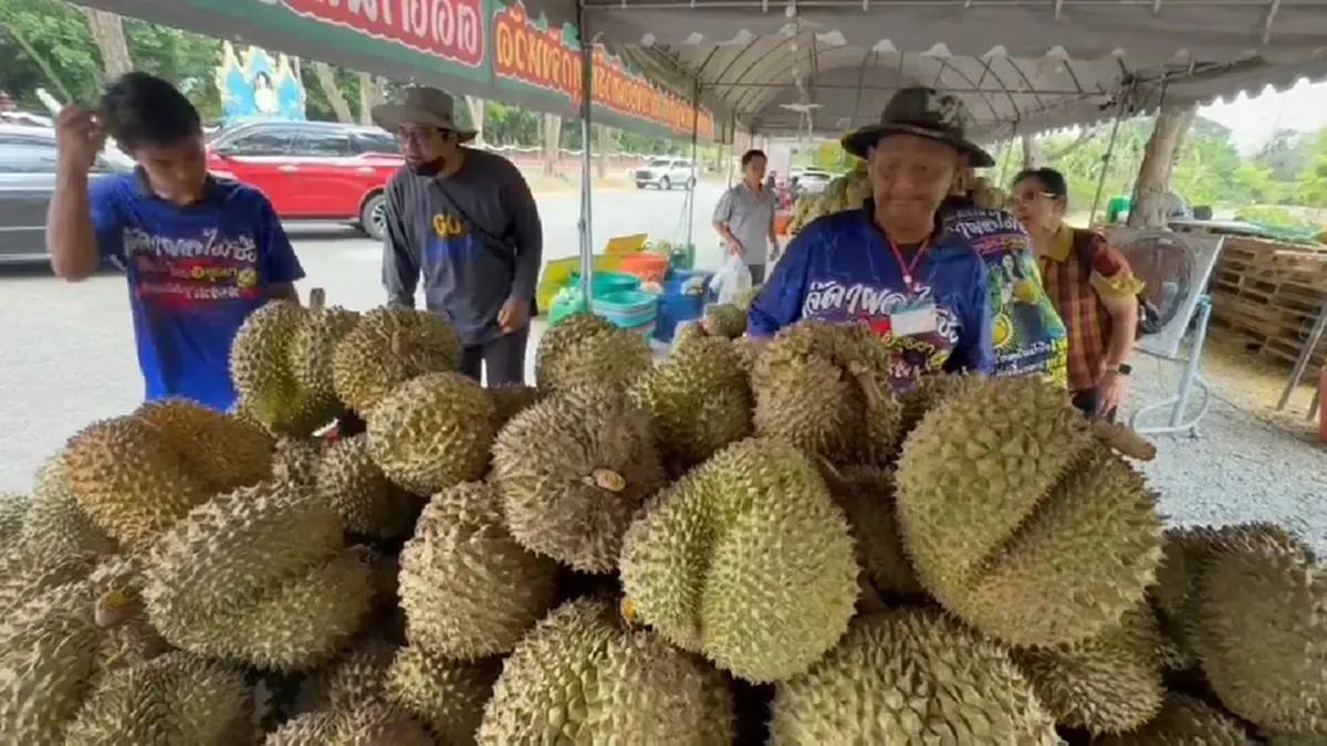 อยุธยาคึกคัก! แห่ต่อคิวซื้อทุเรียนลูกละ 1 บาท ช่วยเกษตรกร