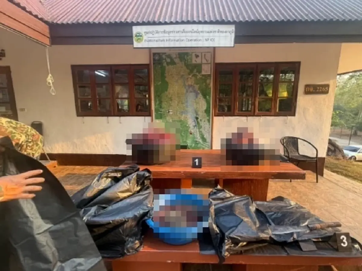 จับคาบ้าน ซากกวางป่า 106 กก. กลางทองผาภูมิ สาววัย 50 รับซื้อนายพราน