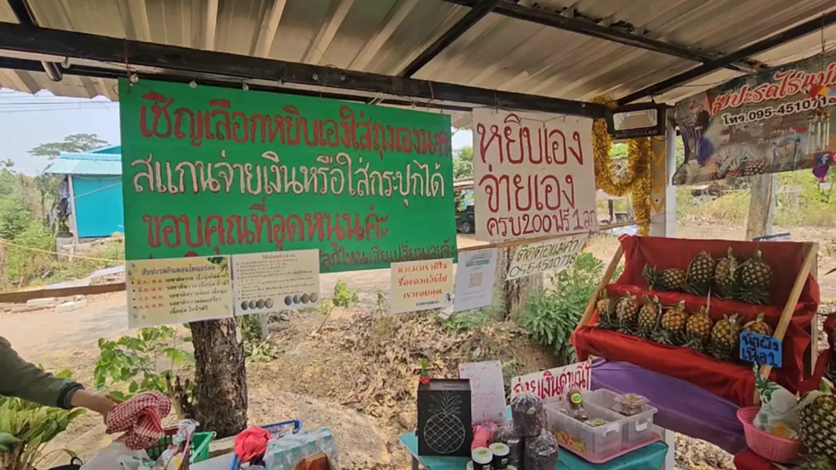 มิติใหม่! ร้านสับปะรดไร้คนเฝ้า 24 ชม. หยิบเองจ่ายเองวัดใจลูกค้า