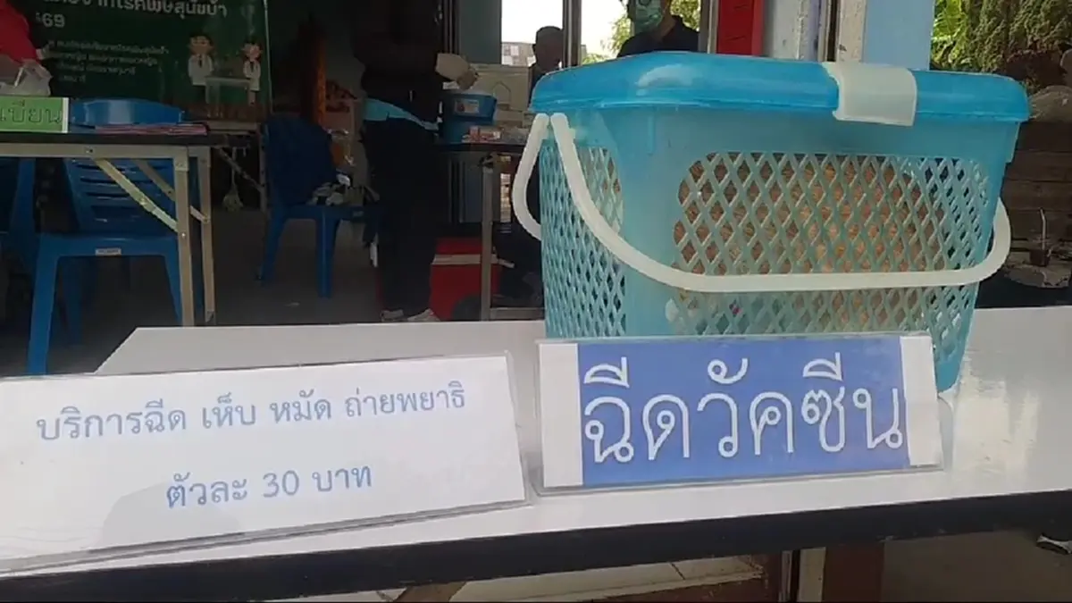 อากาศร้อนเสี่ยงพิษสุนัขบ้า! พะเยาเร่งฉีดวัคซีนฟรีป้องกัน 