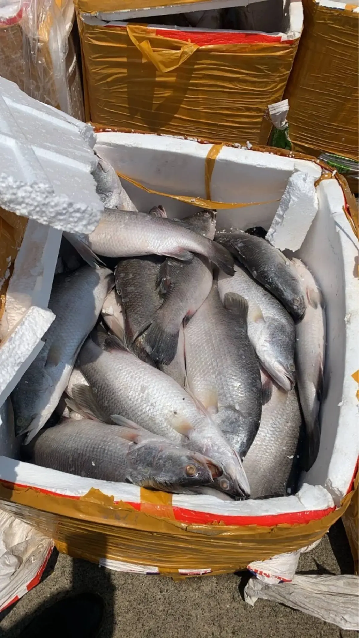 ทัพเรือสกัดเรือเถื่อน! ยึด "เนื้อปูแกะ–สัตว์น้ำ" กลางทะเลตราด