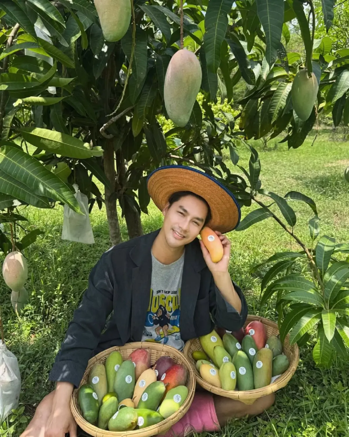  เพ็ชร ฐกฤต ตวันพงค์ พาเปิดสวนมะม่วง สอนเก็บผลแก่แบบมือโปร