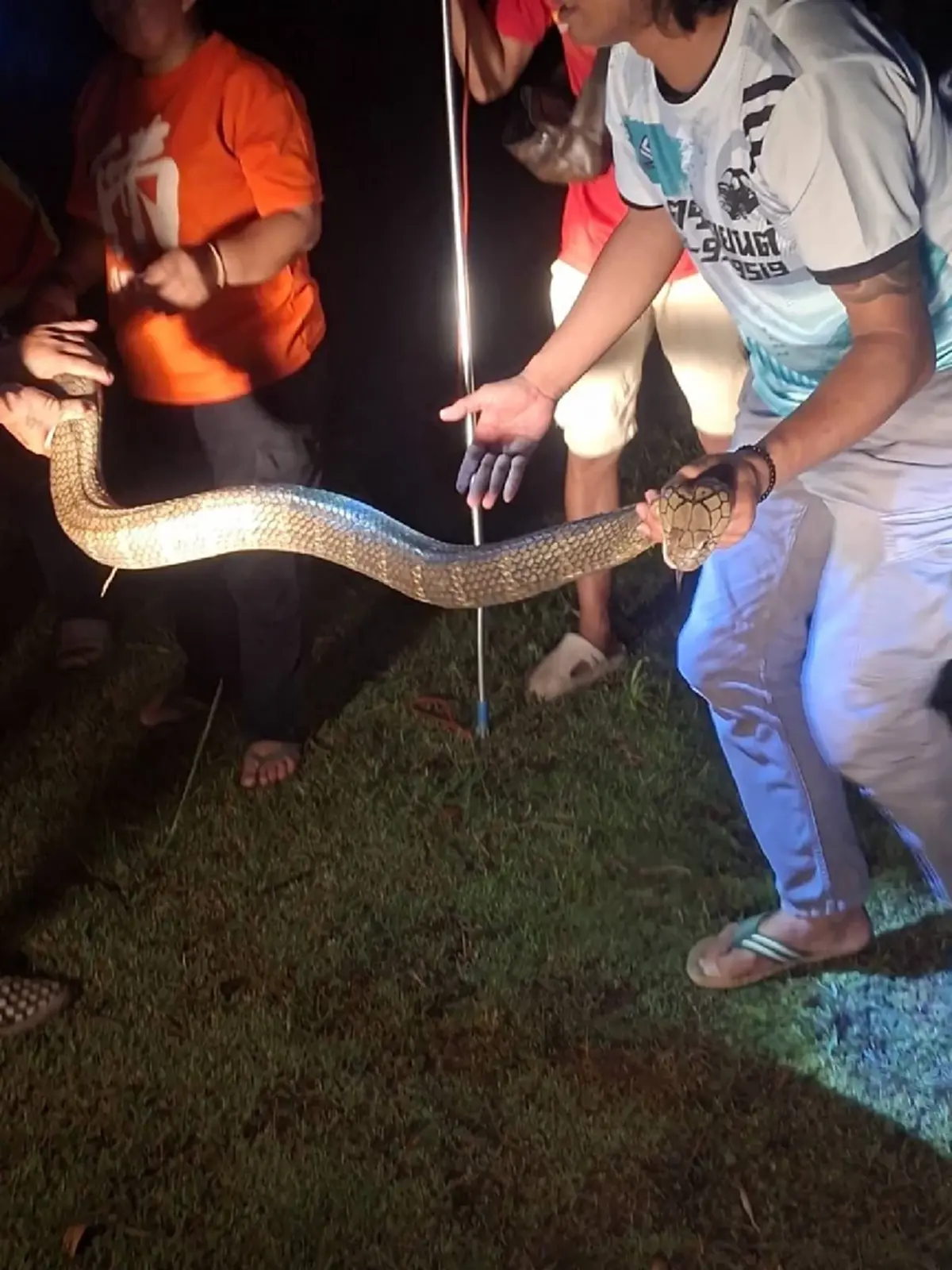 ส่องเลขที่บ้าน งูจงอางยักษ์ 4 เมตร บุกเลื้อยเข้าบ้าน ลุ้นจับระทึก 