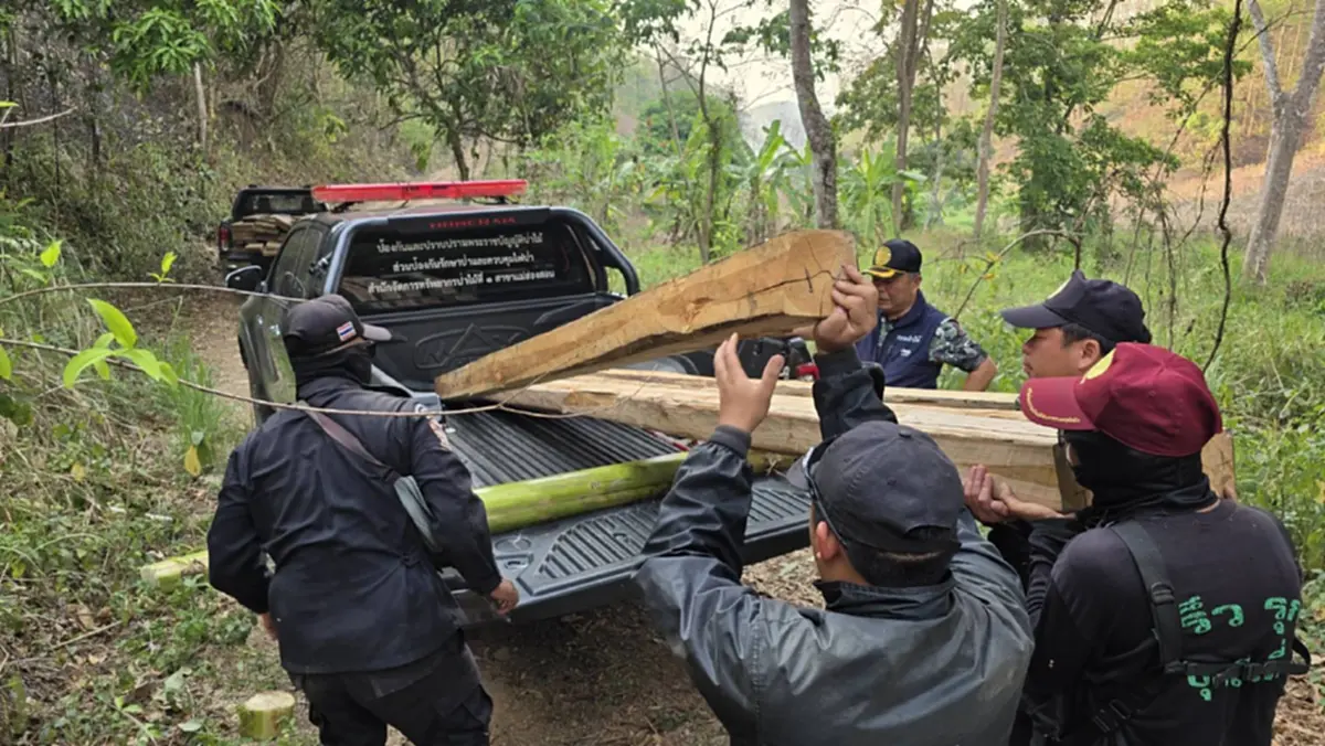 ดับไฟป่าเจอไม้สัก! แม่สะเรียงยึด 28 แผ่นเหลี่ยมซุกกอไผ่