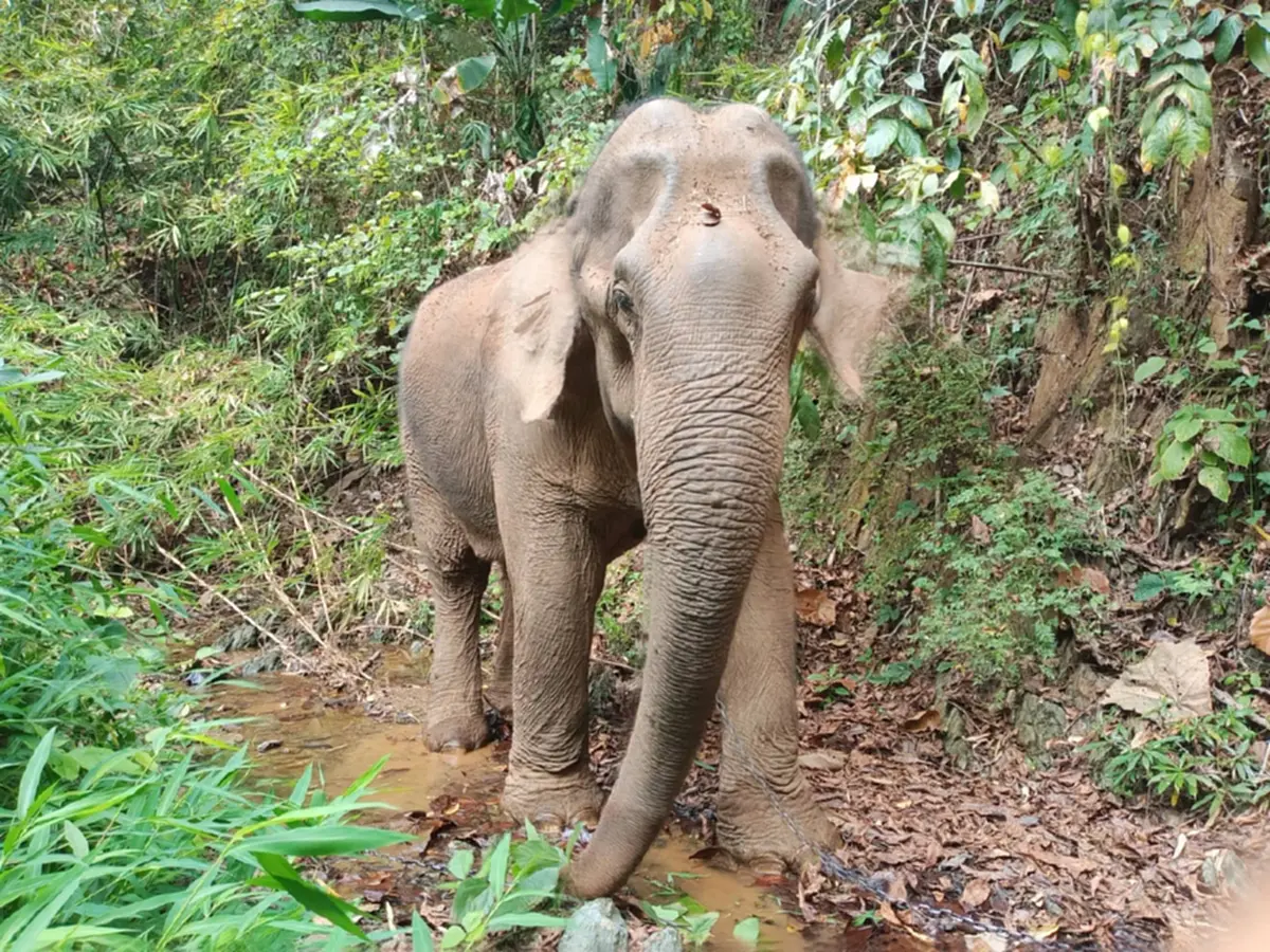 เอาแล้วไง หนูนา กัญจนา ไม่เฉย เตือนแรงๆถึงเจ้าของ สีดอบูม