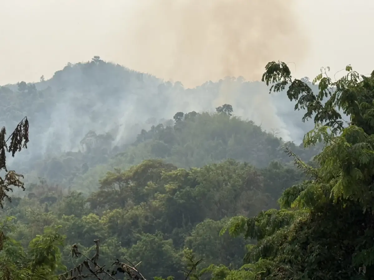 เลยวิกฤติหนัก! PM2.5 พุ่งแดงต่อเนื่อง ไฟป่าปะทุวันเดียว 54 จุด