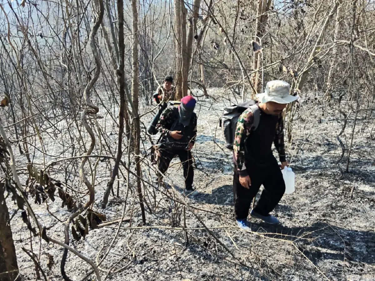 วิกฤติป่ามรดกโลก! ไฟไหม้ "แก่งกระจาน" เสียหายกว่า 1.1 หมื่นไร่