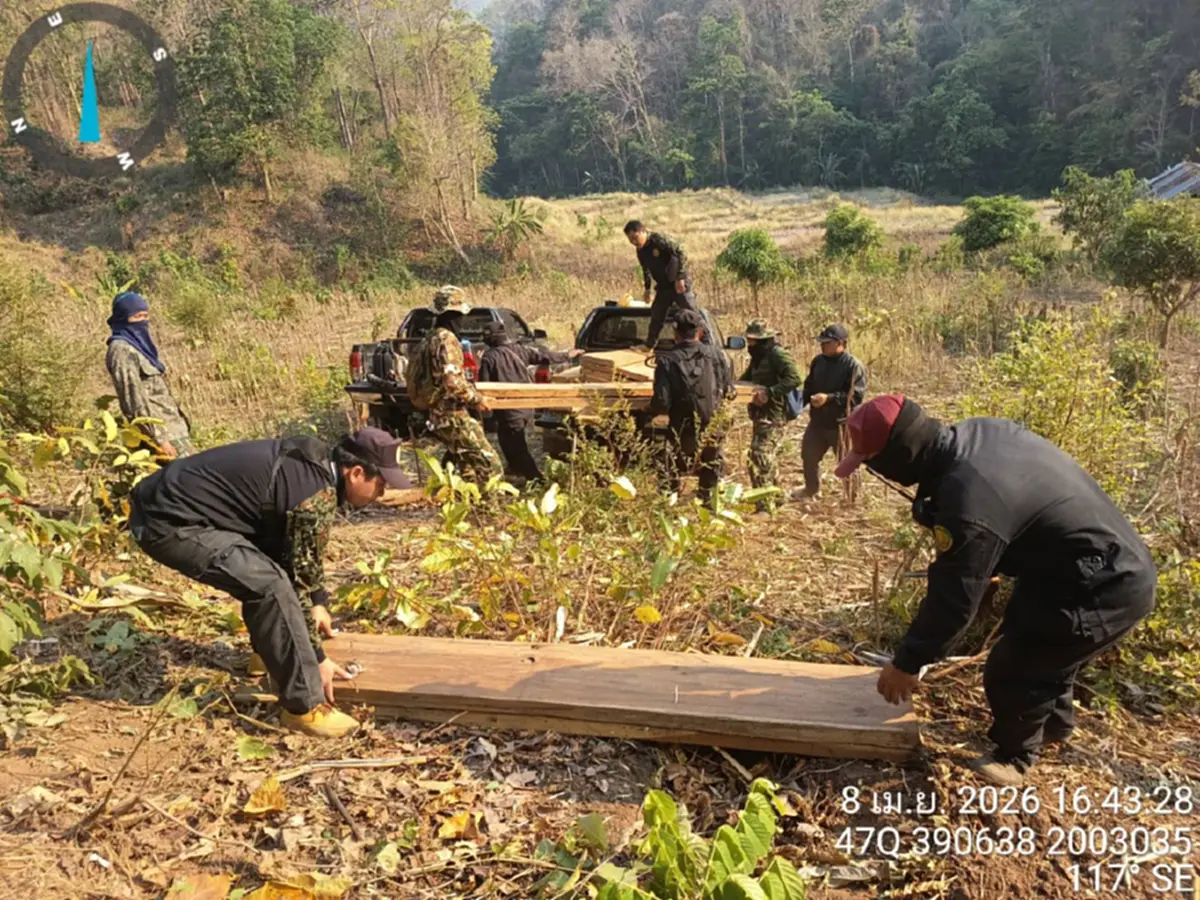 ดับไฟป่าเจอไม้สัก! แม่สะเรียงยึด 28 แผ่นเหลี่ยมซุกกอไผ่