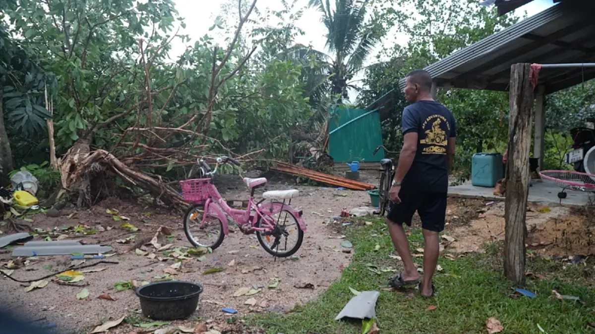 ลมหัวด้วนถล่มป่าบอน! บ้านพังร้อยหลัง พัทลุงเร่งกู้ซากช่วยด่วน