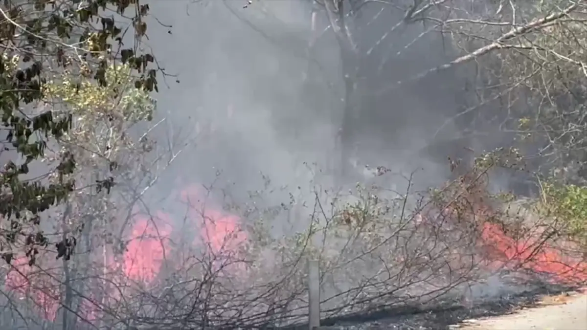 ไฟไหม้ป่าโคกหินลาดวอด 500 ไร่ สัตว์ป่าหนีตาย-คาดมือเผาหาของป่า