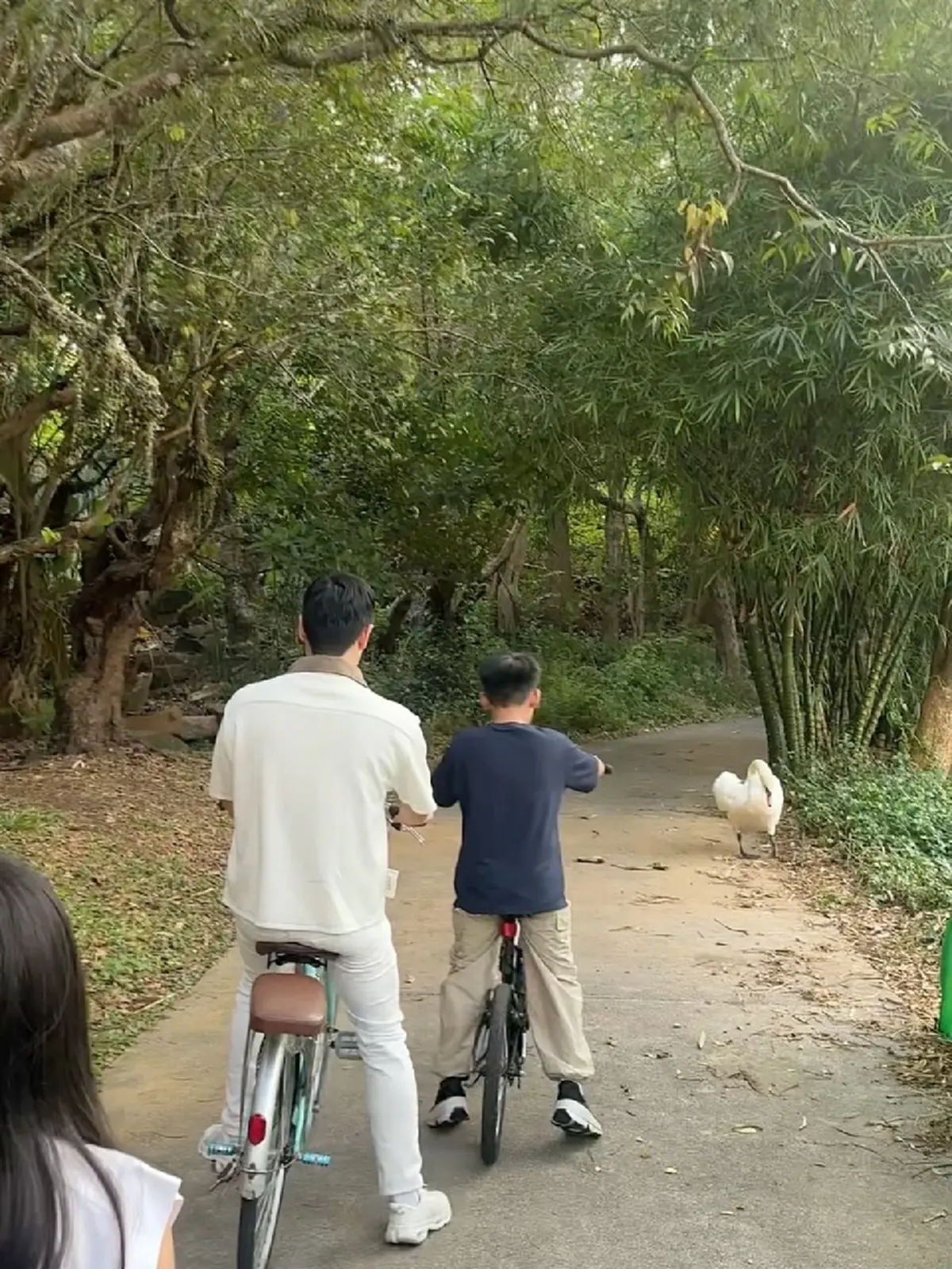 หมอโอ๊ค สมิทธิ์ พาลูกชาย เก็บผัก ชาวเน็ตแห่ชมแฝดพ่อชัดมาก