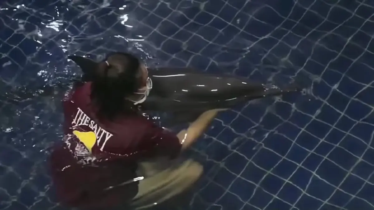 ภาพ @Phuket Aquarium