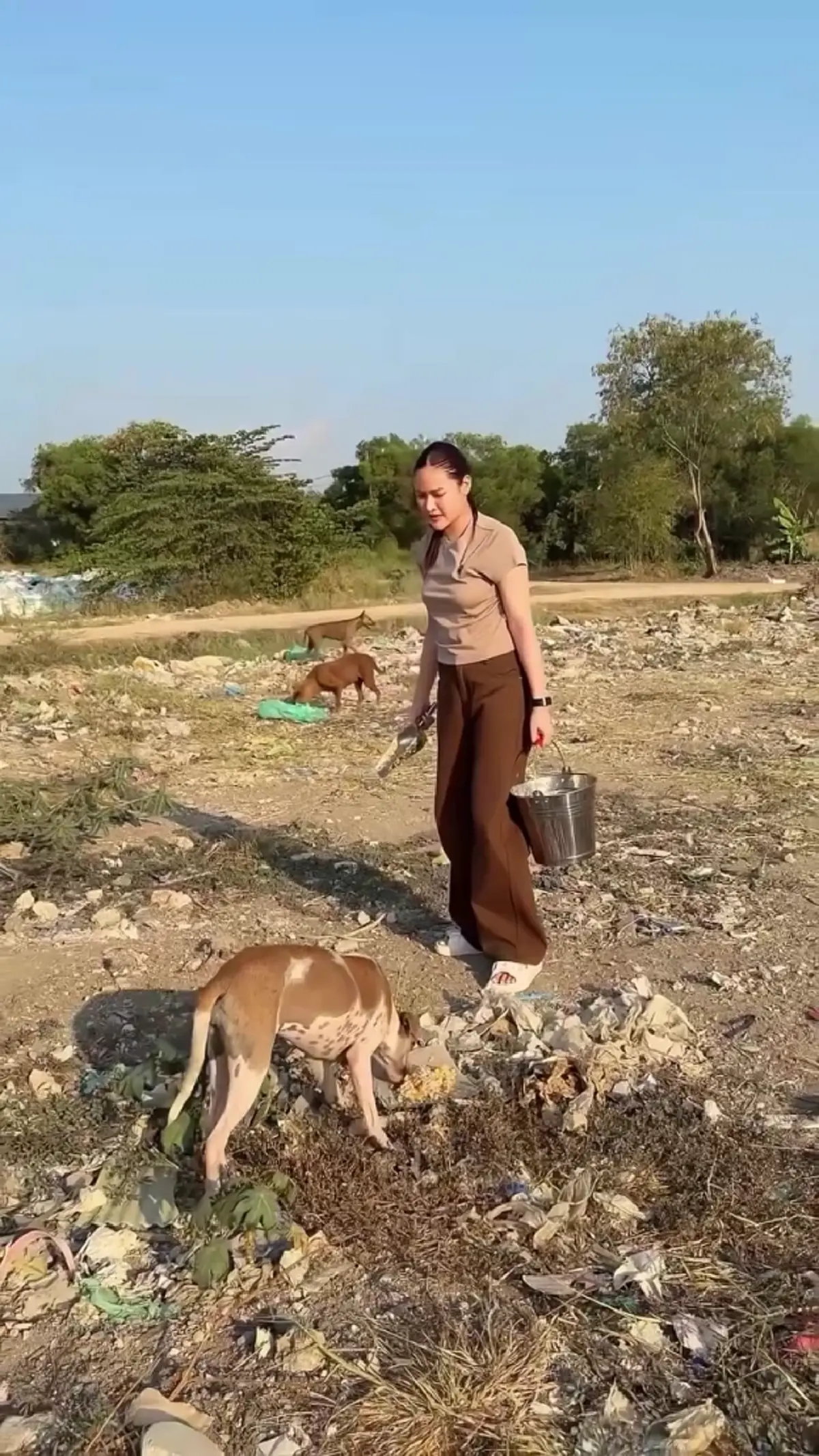 ปุ๊กลุก-ไมค์ ควงคู่ลุยคลองหลวง เลี้ยงอาหารหมาจรนับร้อย