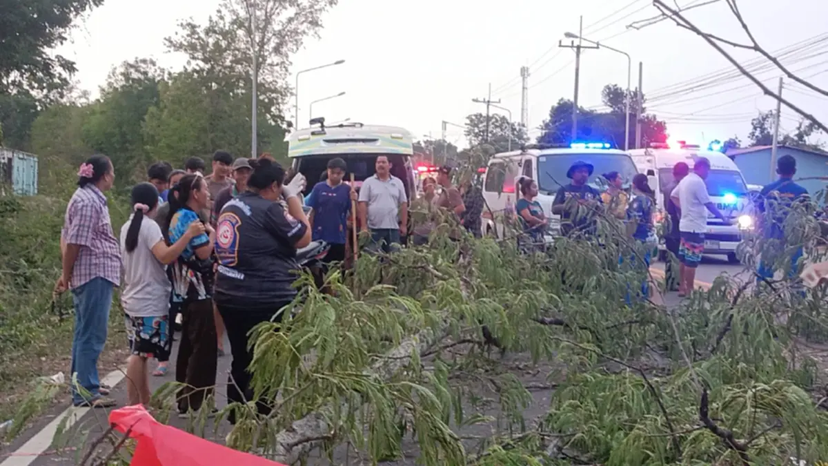 สลดกลางพายุ! หนุ่มโรงงาน ขี่รถกลับบ้าน ถูกกิ่งไม้ใหญ่โค่นฟาดดับ