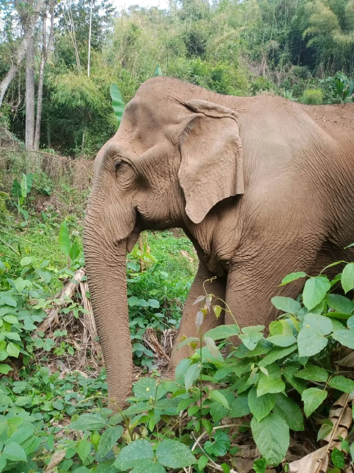 เอาแล้วไง หนูนา กัญจนา ไม่เฉย เตือนแรงๆถึงเจ้าของ สีดอบูม