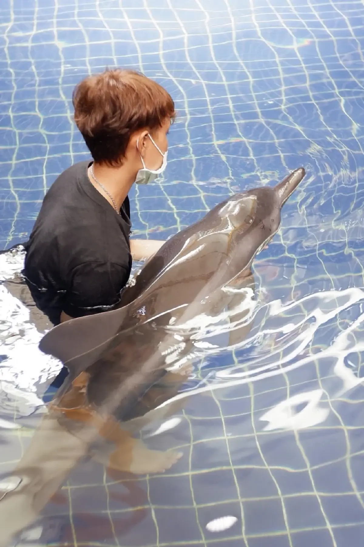 ภาพ @Phuket Aquarium