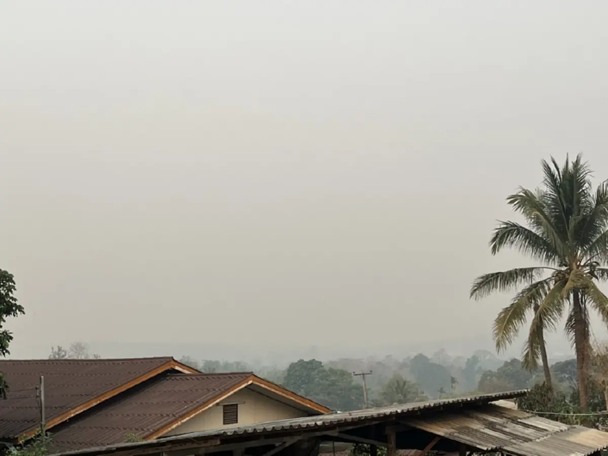 ปายวิกฤติควันพิษ!! นักท่องเที่ยวหายกว่า 90% ป่วยพุ่ง!