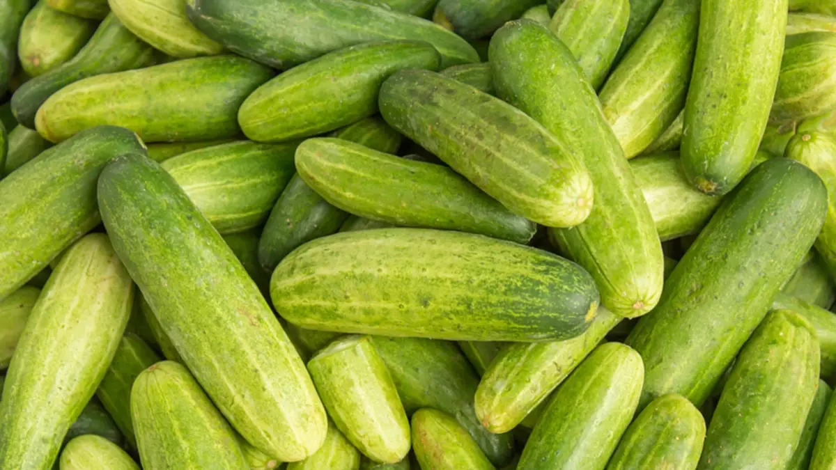 แตงกวาเป็นผักหรือผลไม้? เฉลยชัดแบบวิทยาศาสตร์ คนส่วนใหญ่ตอบผิด