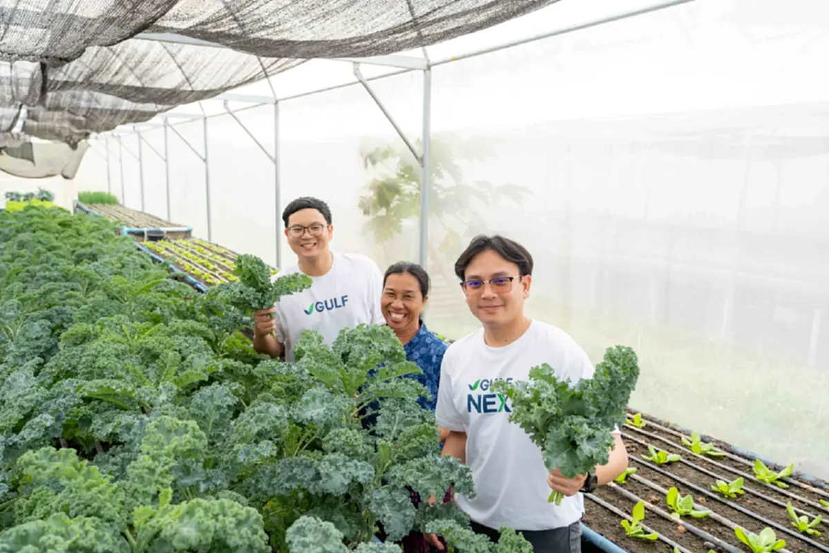 GULF ผนึก ปิดทองหลังพระฯ ชูความเชี่ยวชาญด้านพลังงานหมุนเวียน