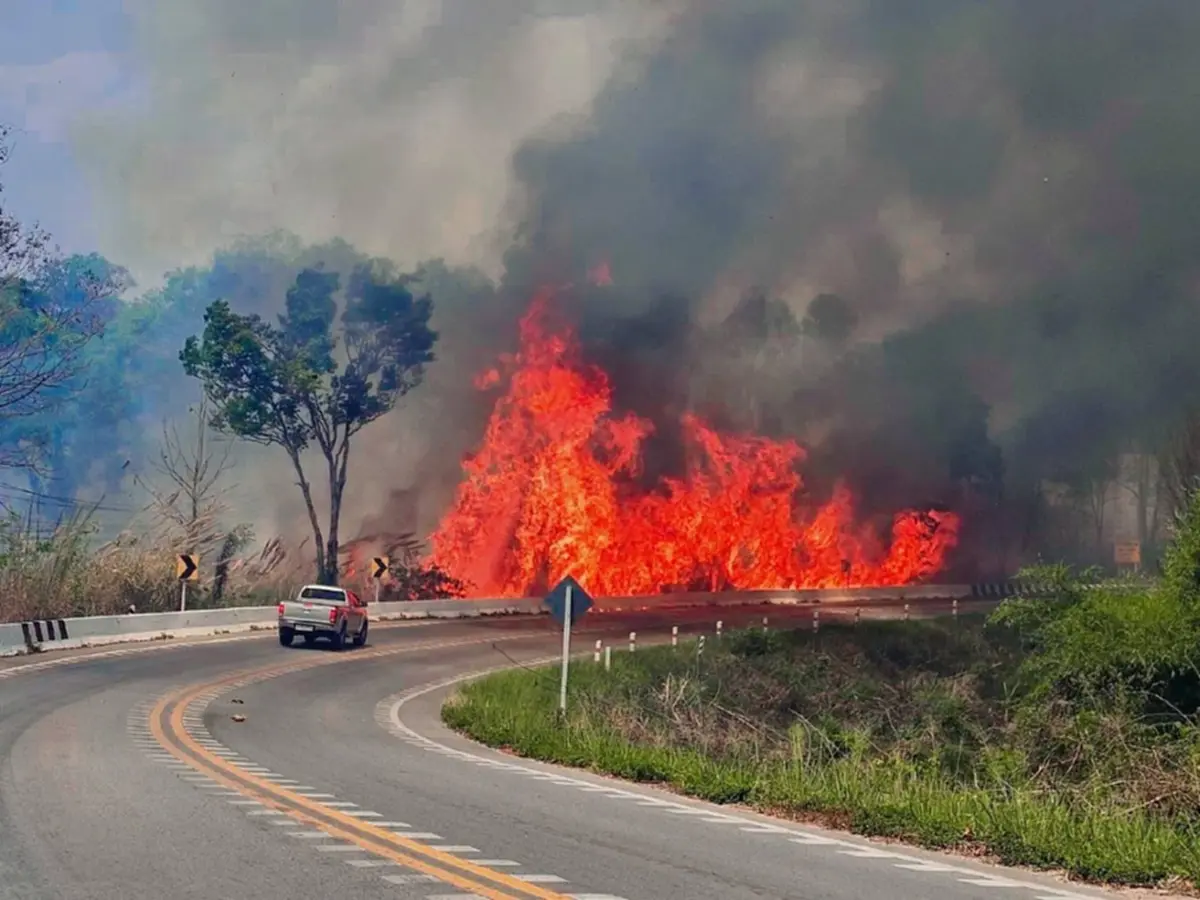 เลยอ่วม! PM2.5 พุ่งเกินมาตรฐาน ไฟป่าลุกลามหลายพื้นที่