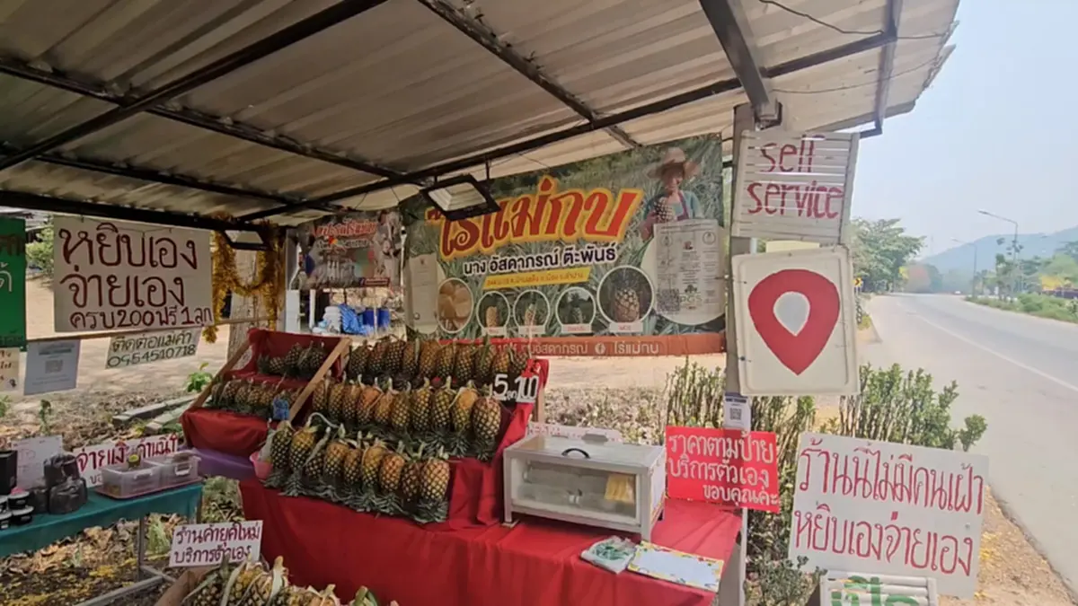 มิติใหม่! ร้านสับปะรดไร้คนเฝ้า 24 ชม. หยิบเองจ่ายเองวัดใจลูกค้า