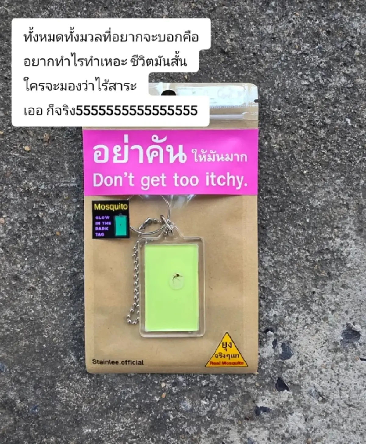 สาวปิ๊งไอเดียแปลก ทำเงินจากยุง ขายดีเกินคาด งานนี้จับแทบไม่ทัน