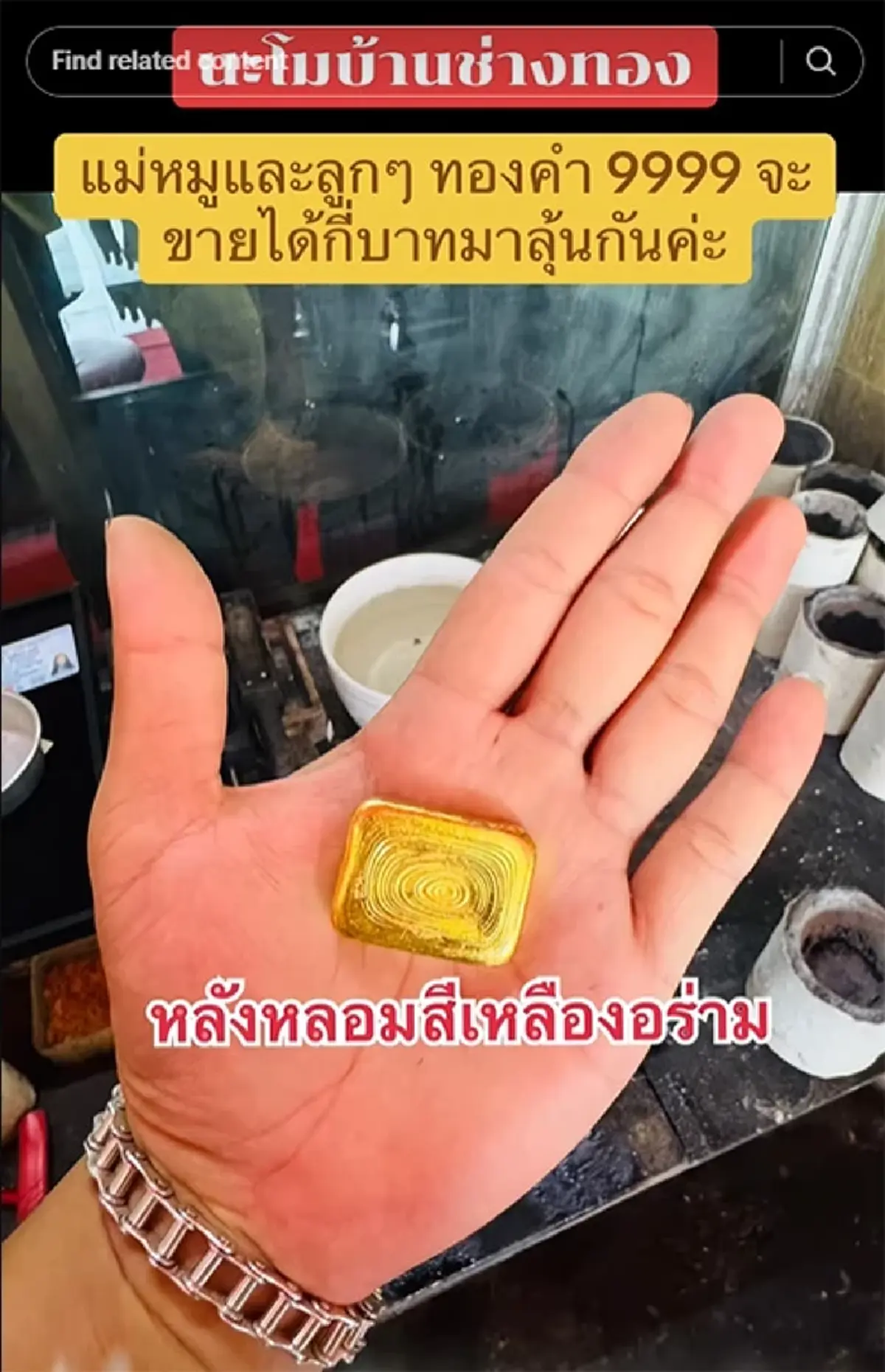 ลูกค้านำ ครอบครัวหมูทองคำ มองเผินๆ ดูน่ารัก ตีราคาออกมา ทุกคนตกใจ