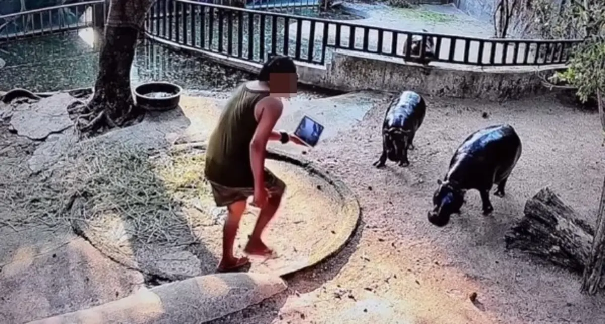 เปิดคำพิพากษา คดี "บุกบ่อหมูเด้ง" ล่าสุด โดนแล้ว แบบ จุก ๆ 