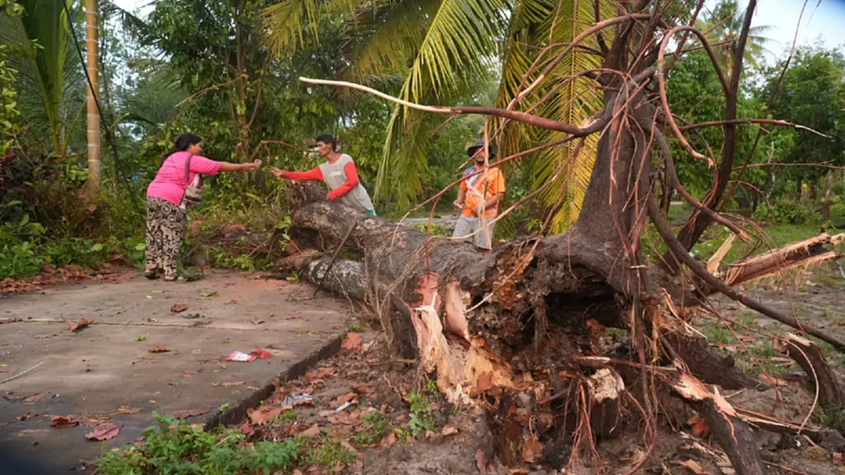 ลมหัวด้วนถล่มป่าบอน! บ้านพังร้อยหลัง พัทลุงเร่งกู้ซากช่วยด่วน