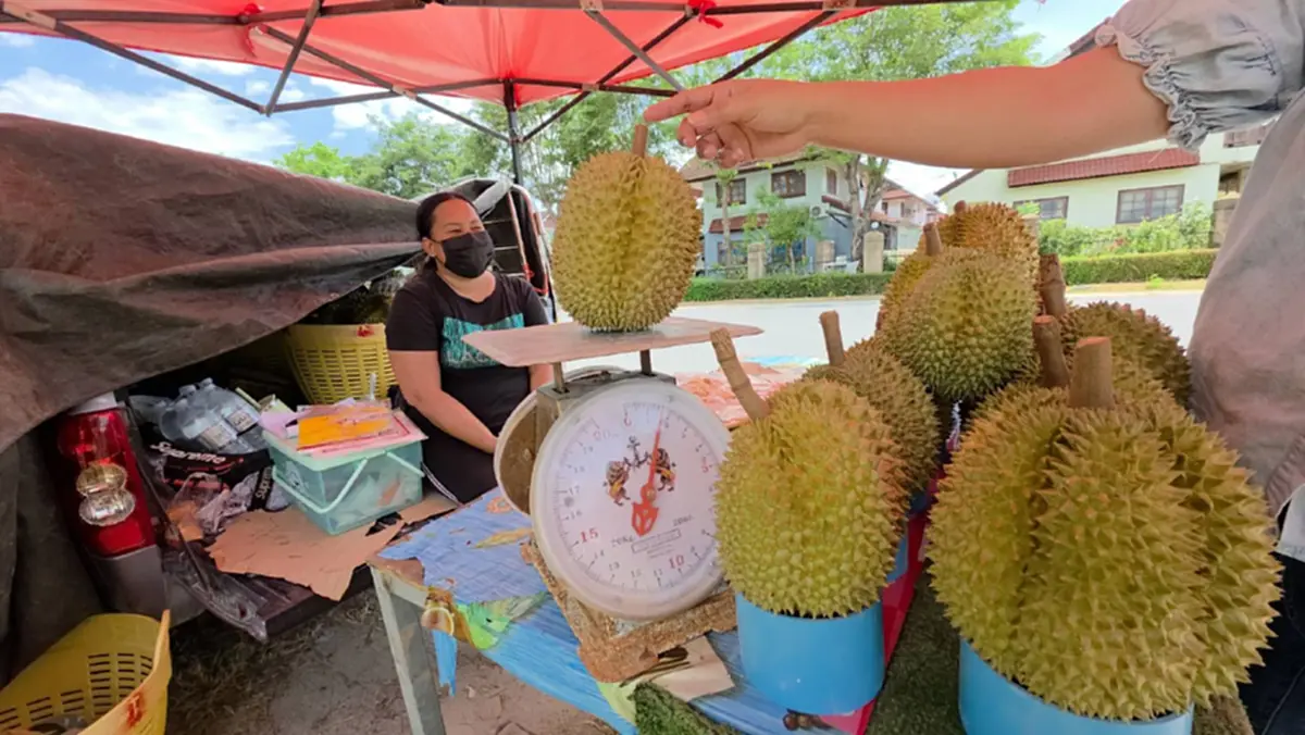 ทุเรียนร้อยเดียวทำพิษ! แม่ค้านั่งตบยุง ลูกค้าเมินรอเอฟออนไลน์