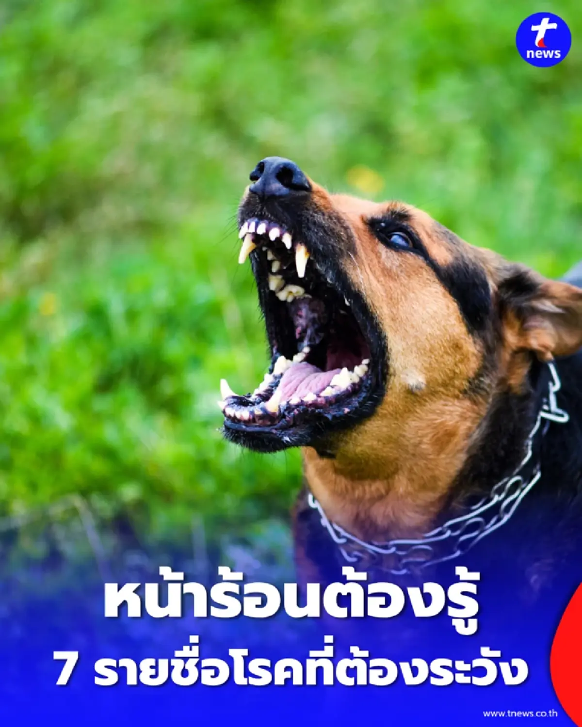 เช็ก 7 โรคอันตรายหน้าร้อน พร้อมวิธีป้องกันให้รอดจากฮีทสโตรก