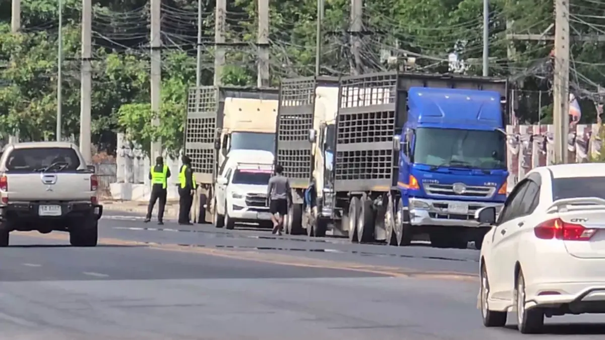 ขนส่งอุทัยฯ ตรวจควันดำเข้ม! แฉรถบรรทุกเนียนจอดหนีด่านอ้างง่วง