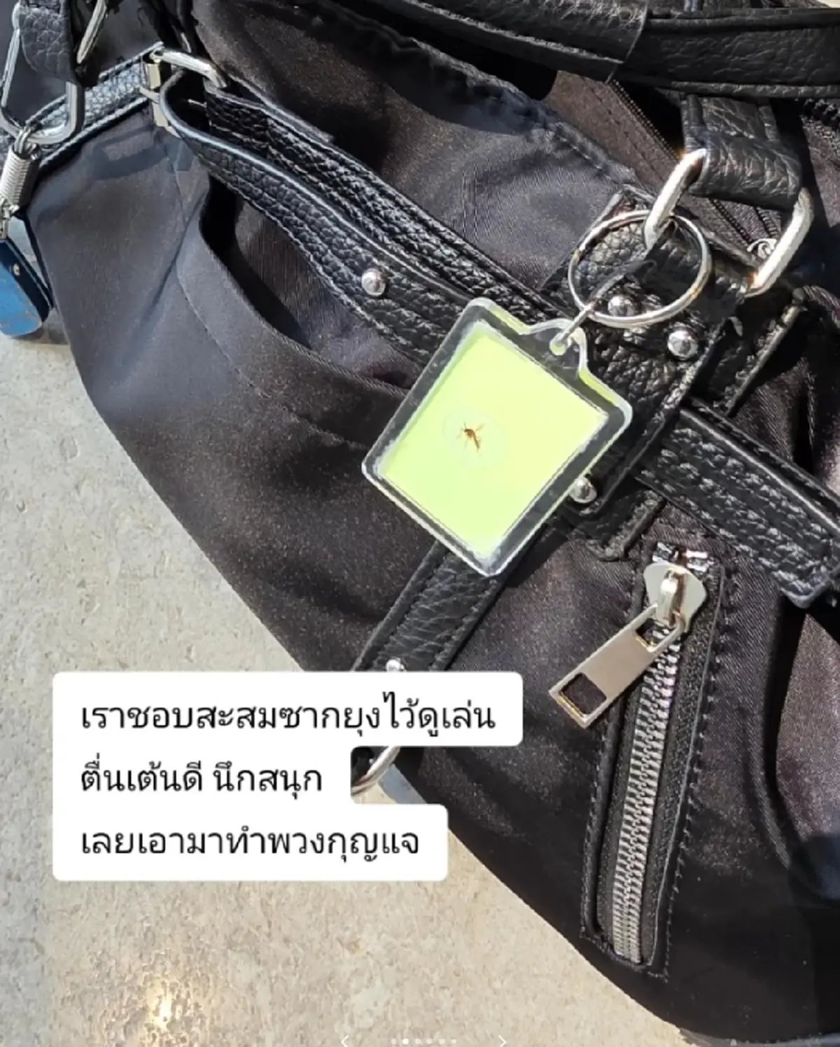 สาวปิ๊งไอเดียแปลก ทำเงินจากยุง ขายดีเกินคาด งานนี้จับแทบไม่ทัน