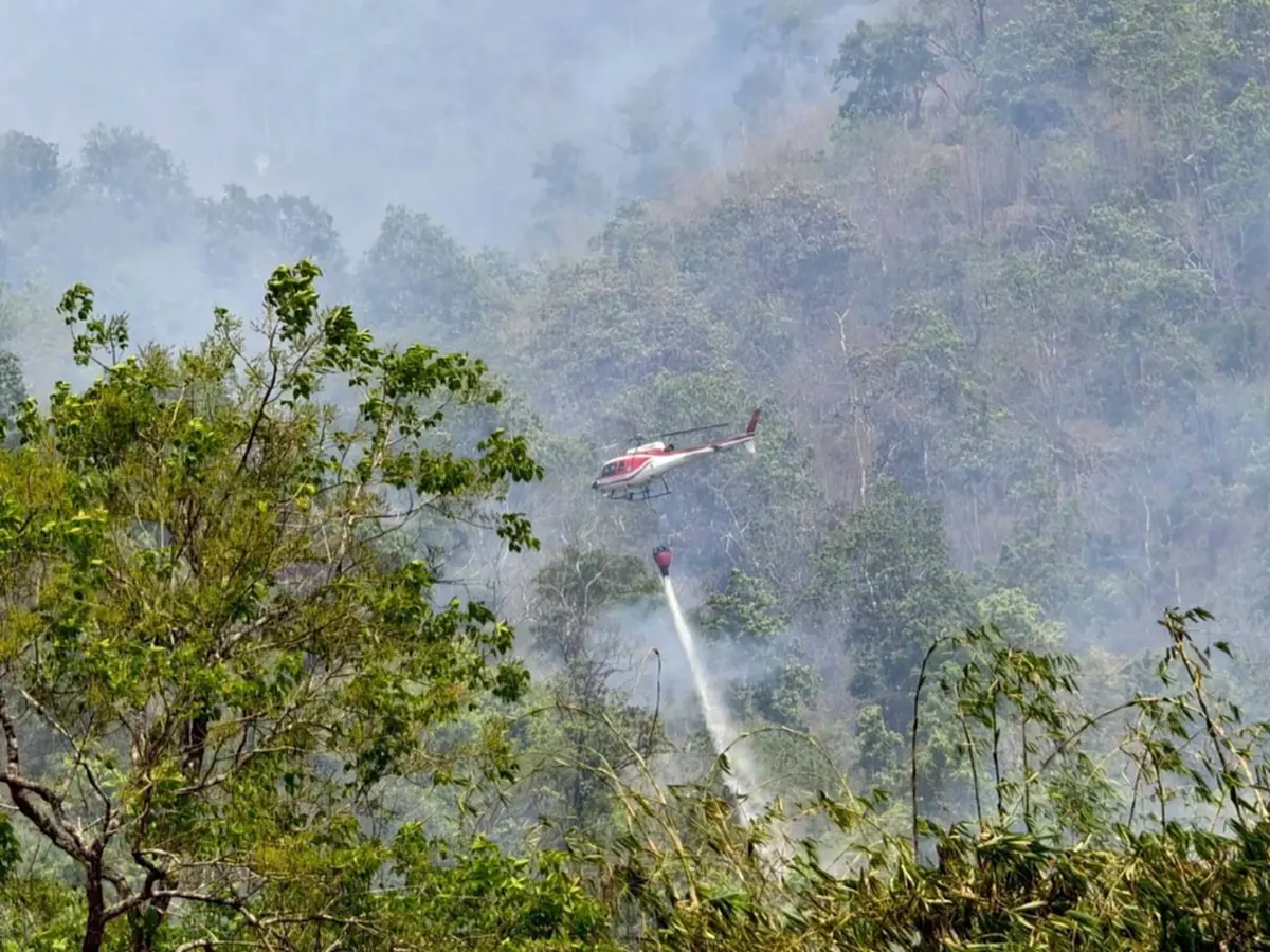 วิกฤตไฟป่าทองผาภูมิ! แฉแก๊งขุดทองเถื่อนจุดไฟพรางตัว